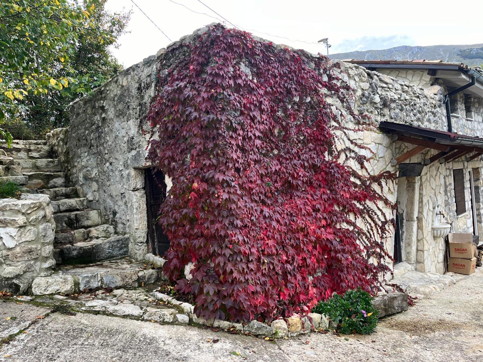 Casa Mupi